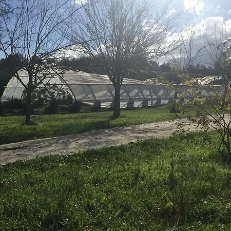 Casa di campagna Finca Bala Gopa